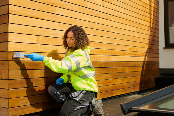 Best Insulated Siding Installation  in Mobridge, SD
